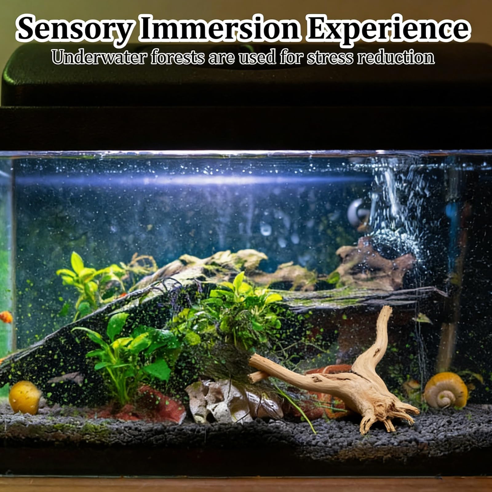Amazon.co.jp: ZCXETP 水族館用流木3点、5.91インチ~7.87インチ 水槽